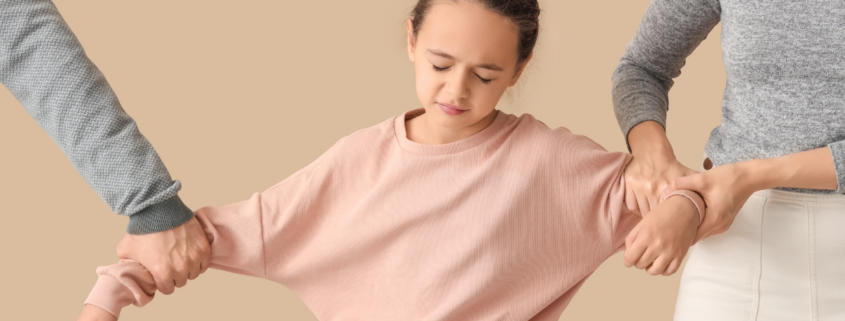 High Conflict, Parental Alienation, and Custody Evaluations